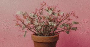 Where to Invest Money